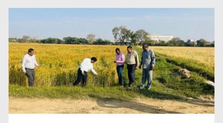 गेहूं की फसल का लिया जाएगा