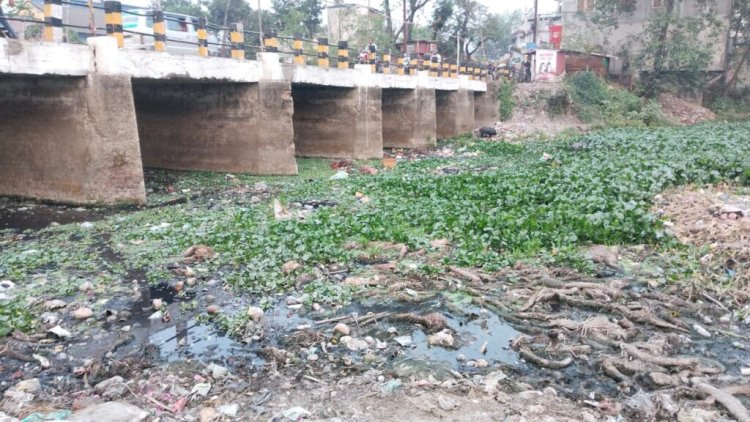 छठ घाट की साफ सफाई नहीं होने से लोगो में आक्रोश,सफाई की मांग